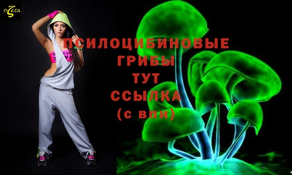 первитин Алексеевка