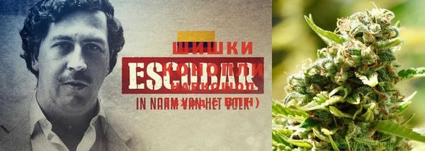 первитин Алексеевка