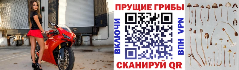 Псилоцибиновые грибы ЛСД  хочу   ОМГ ОМГ зеркало  Мышкин 